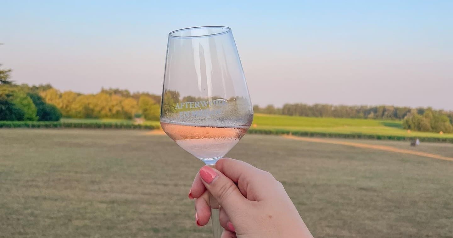 Wine Tasting & Historic Cellars at Bordeaux Vertical