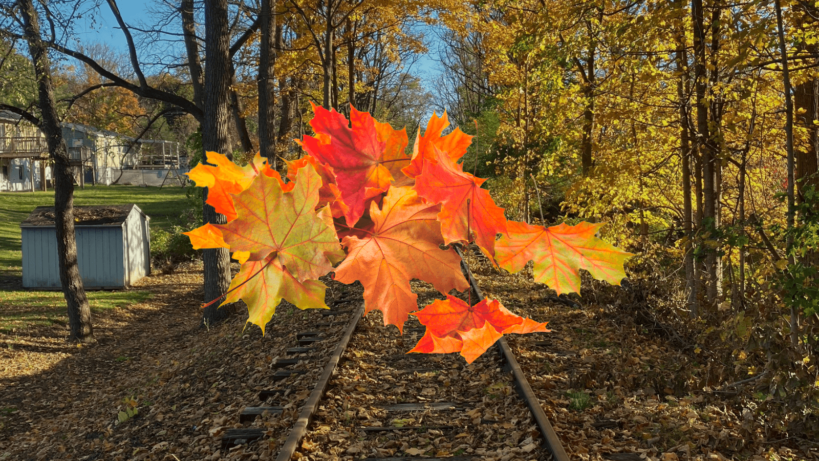 Fall Foliage Train Ride Along Pennsylvania’s Bald Eagle Branch