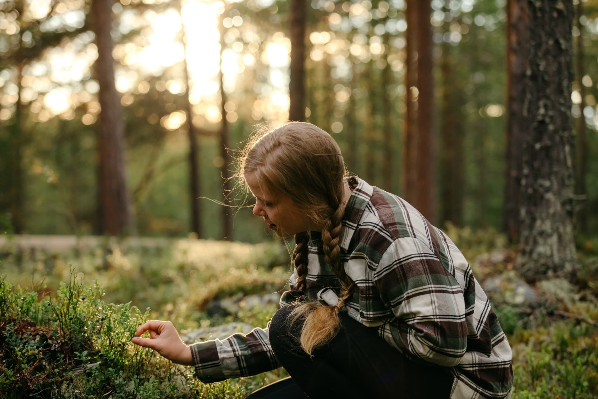 Wild Food Foraging & Cultural Feast at Wilderness Hotel Inari