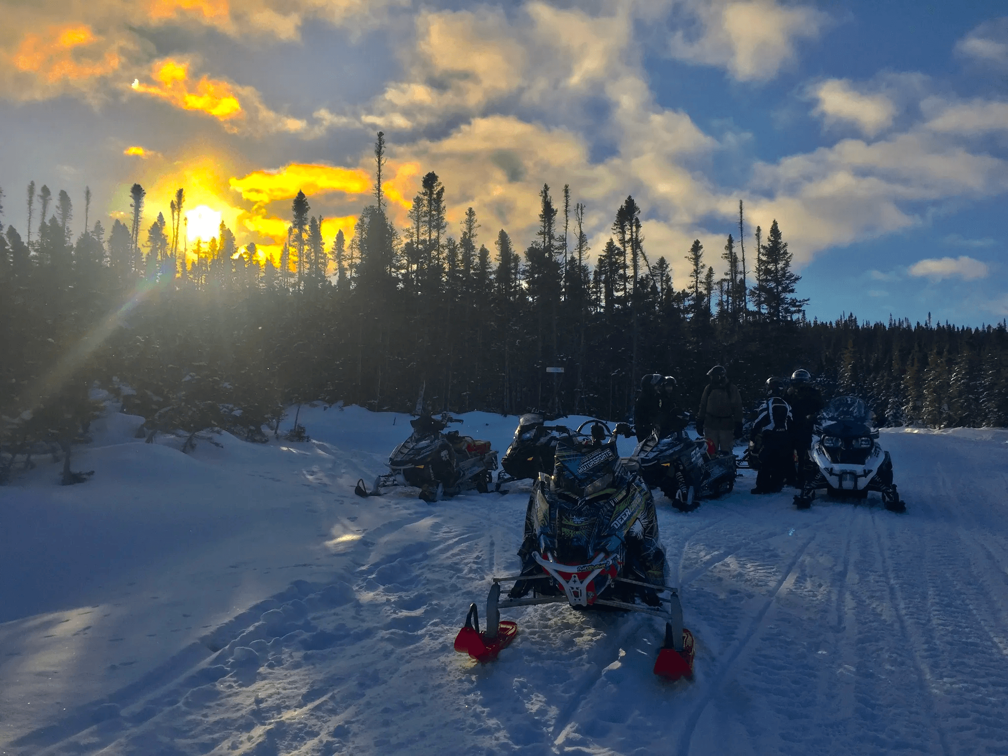 Winter Wildlife & Snowmobile Adventure at Western Brook Pond