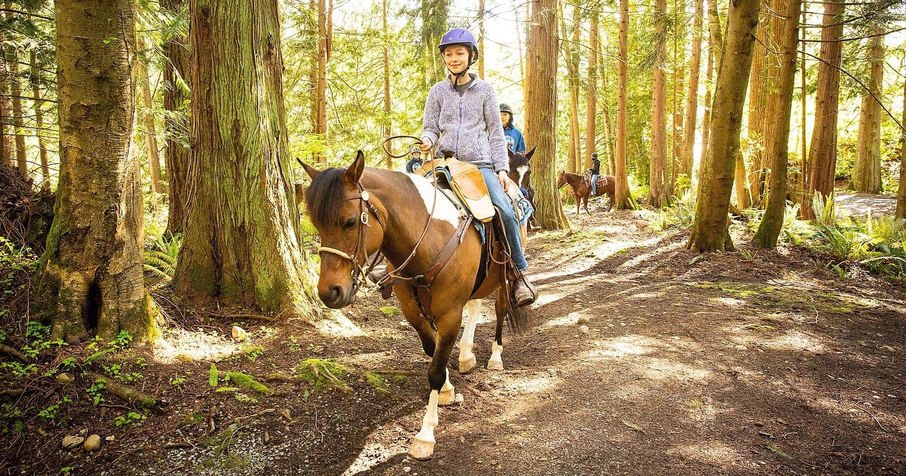 Solo rider on sunlit forest trail enjoying scenic woods