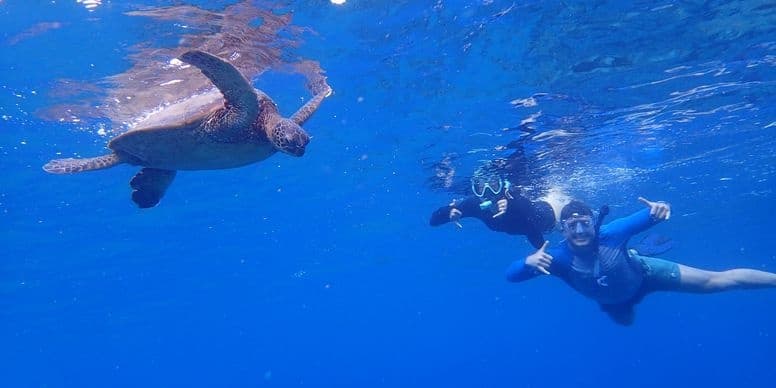 Shore Snorkel with Turtles: Private Maui Tour with Underwater Photos photo 2