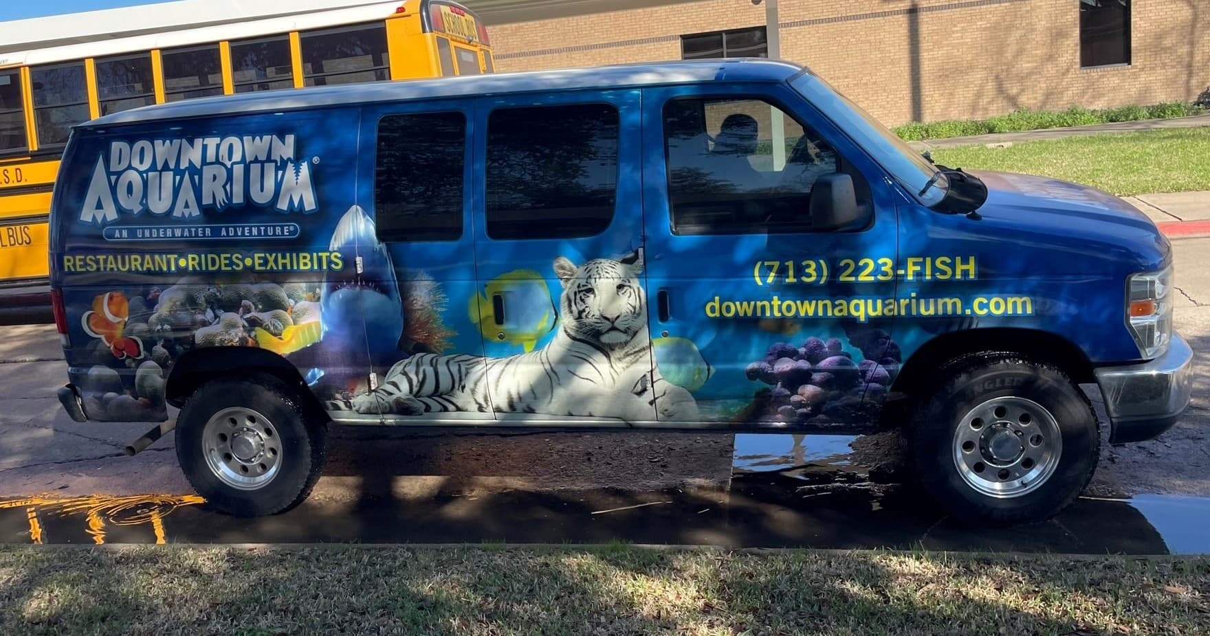 Water Activities at Downtown Aquarium Houston, TX by The Adventure Collective