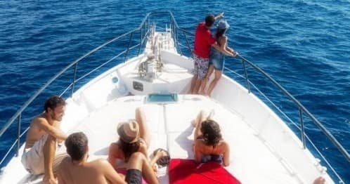 Boat Charters with Chillout Cruises in [Location]