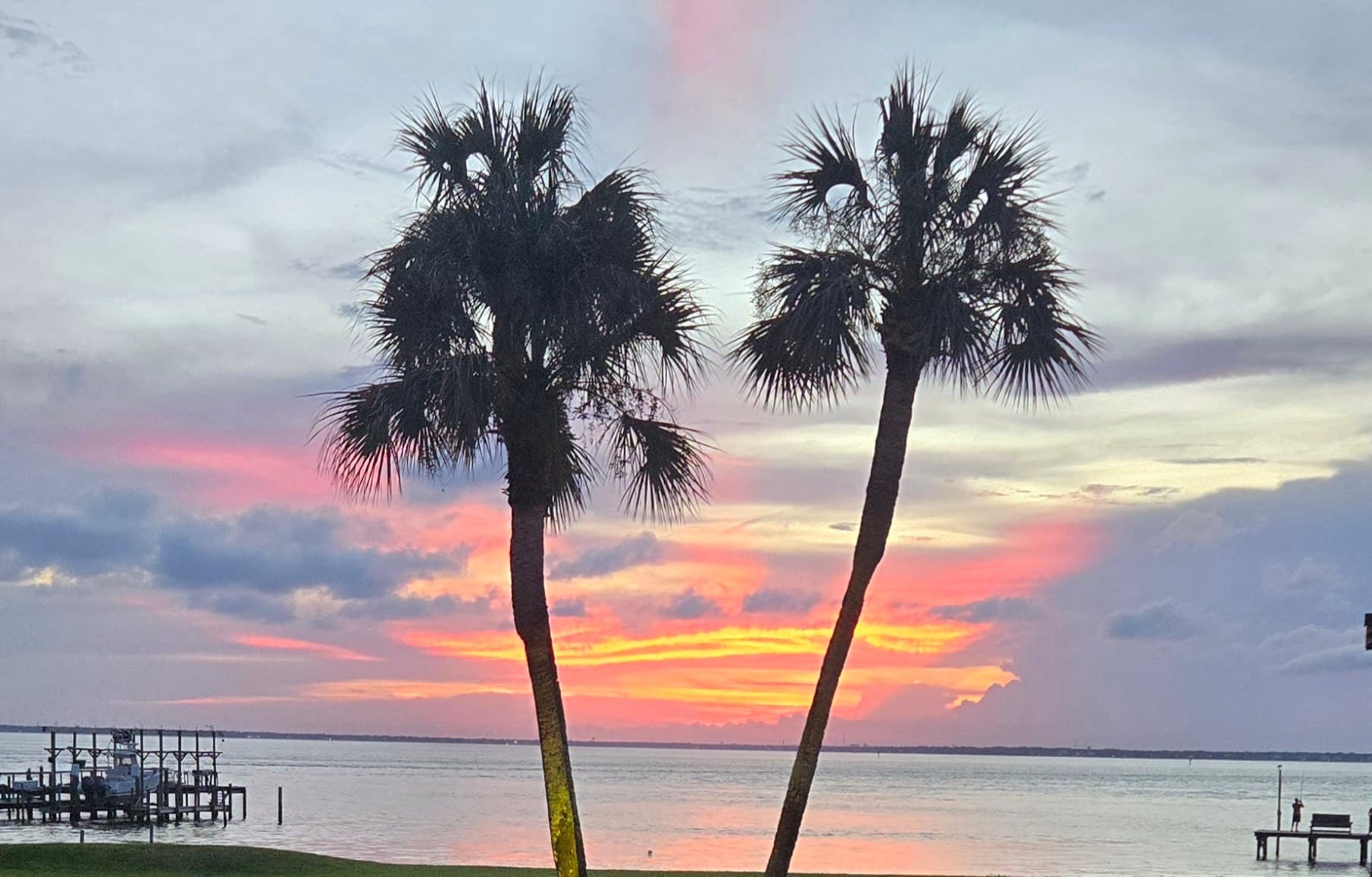Palm trees silhouetted at Gulf sunset over calm bay waters