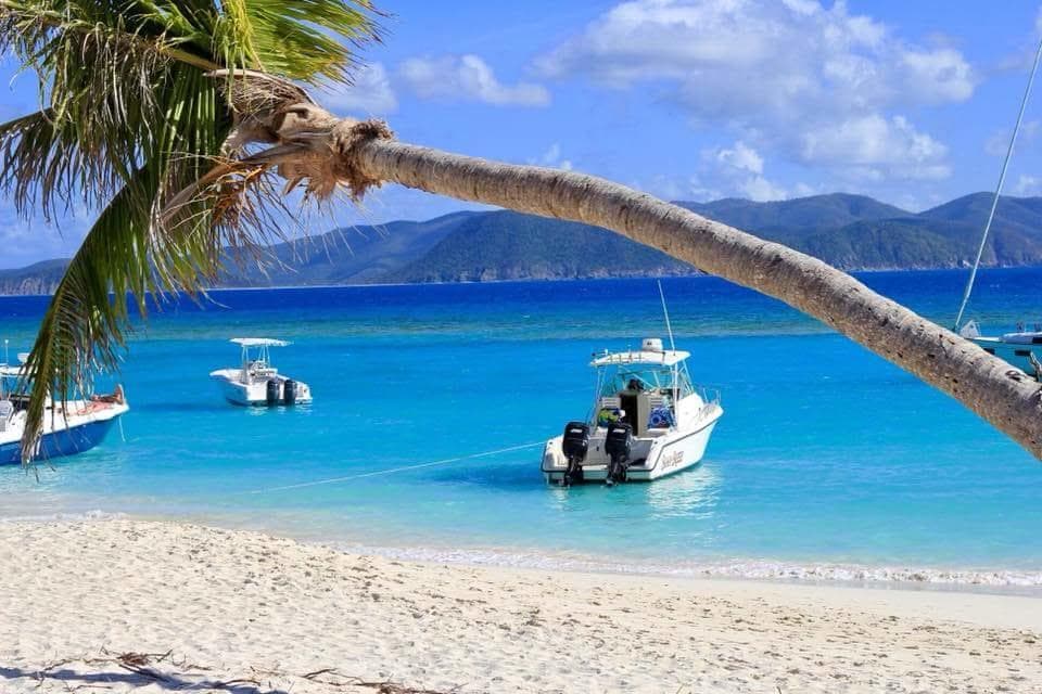 Tropical beach with palm and anchored tour boat in turquoise sea