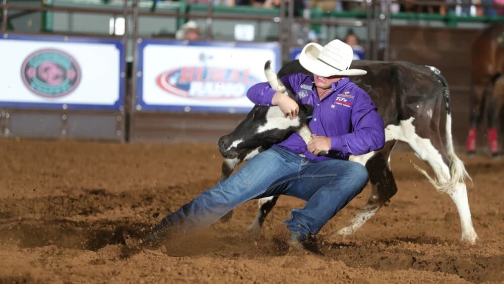 Two-Day Steer-Wrestling Clinic with Cash Robb & Tad Williams — Chute Dogging Intensive photo 1