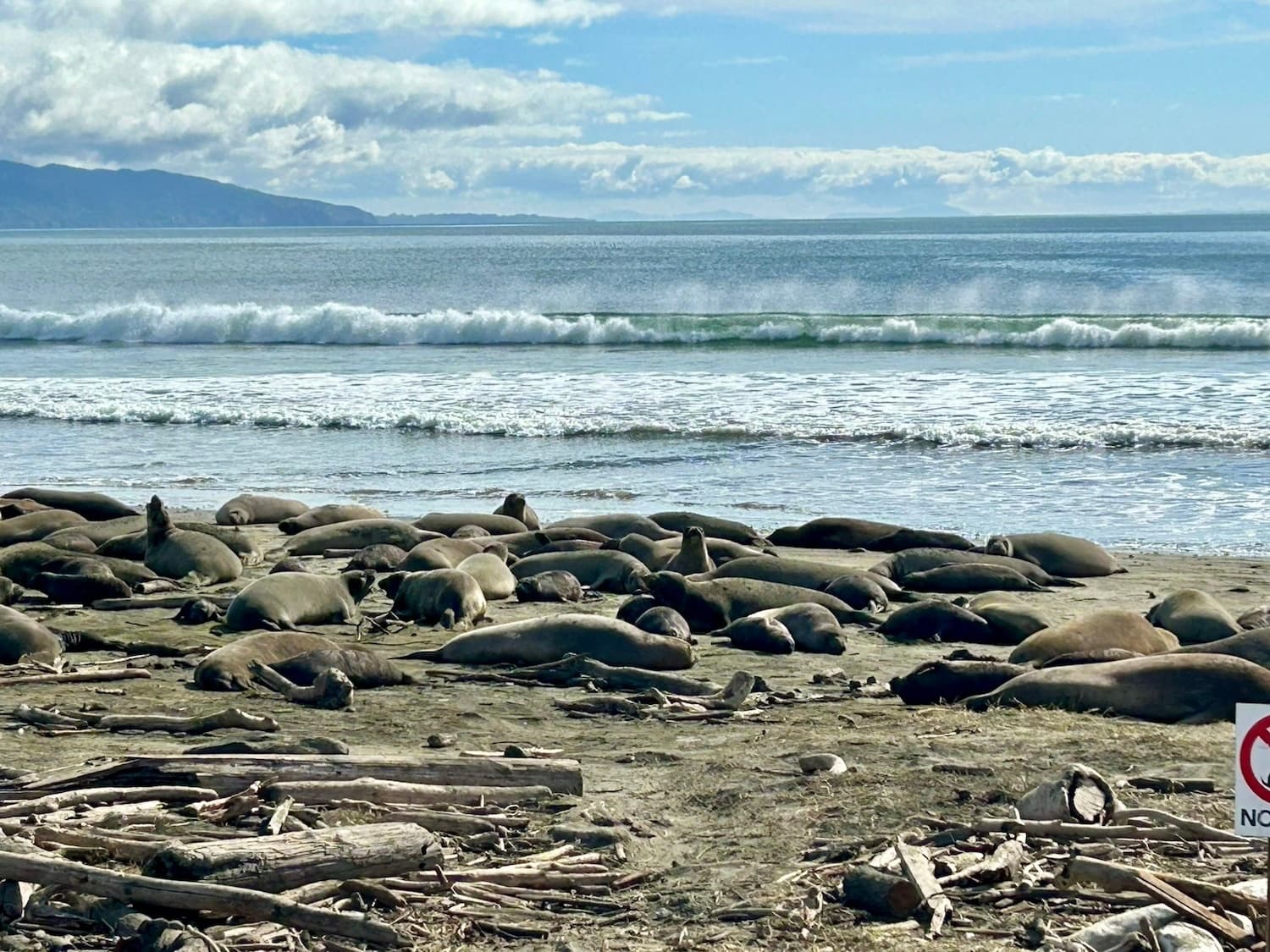 Paddle Drakes Estero: Full-Day Kayak Tour from Inverness, CA photo 4