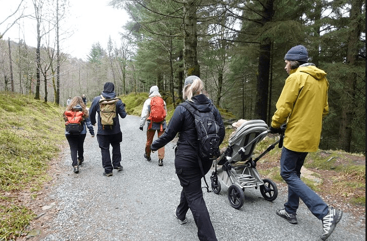 Hiking Mt. Fløyen with I Love Bergen in Norway