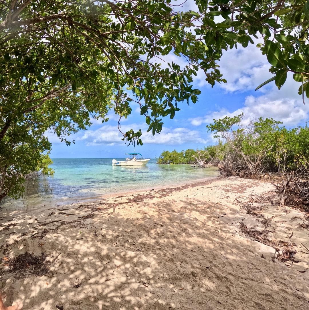 Three-Hour Sandbar Escape in Key West: Snorkel, Paddleboard & Family Fun