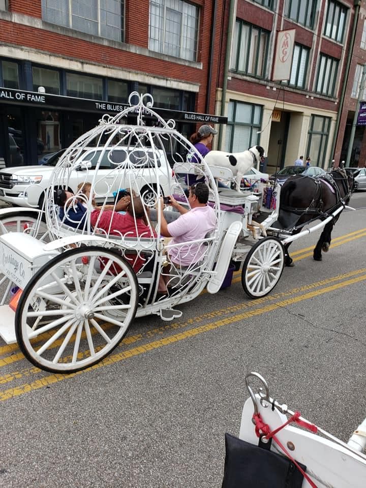Urban Heritage & Horse-Drawn Carriage Ride in Memphis