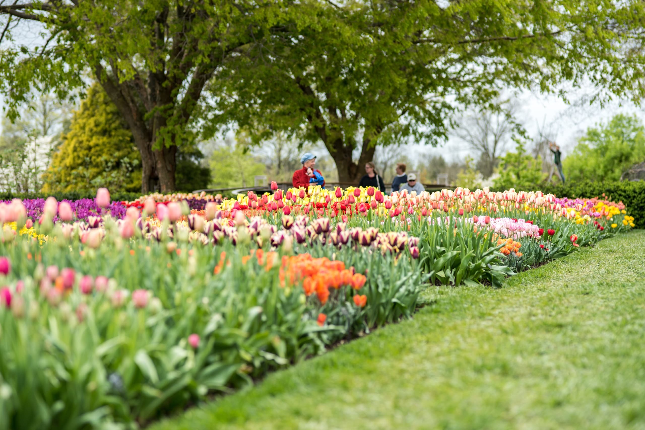 Brandywine Valley & Longwood Gardens Half Day Tour