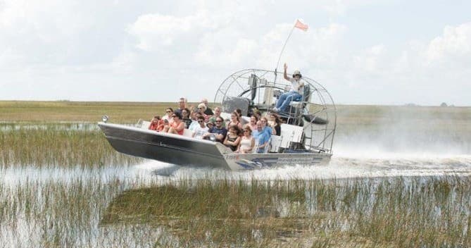 Explore Florida Wetlands on a Guided Group Airboat Tour at Lake Garcia