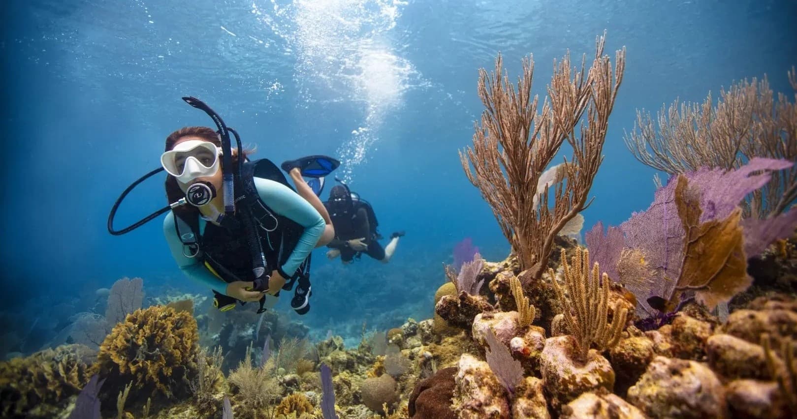 Scuba diver hovering over colorful coral garden on reef dive
