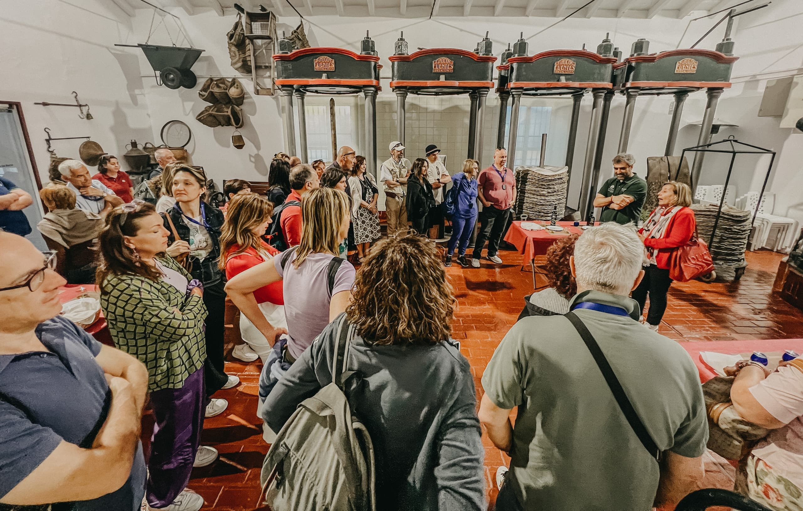 Olive Oil Immersion: Guided Mill Tour and Tasting at Oleícola San Francisco in Jaén photo 1