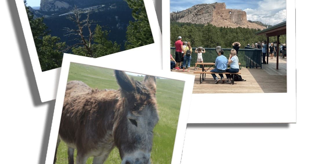 Visitors at Black Hills scenic vista with donkey grazing outdoors