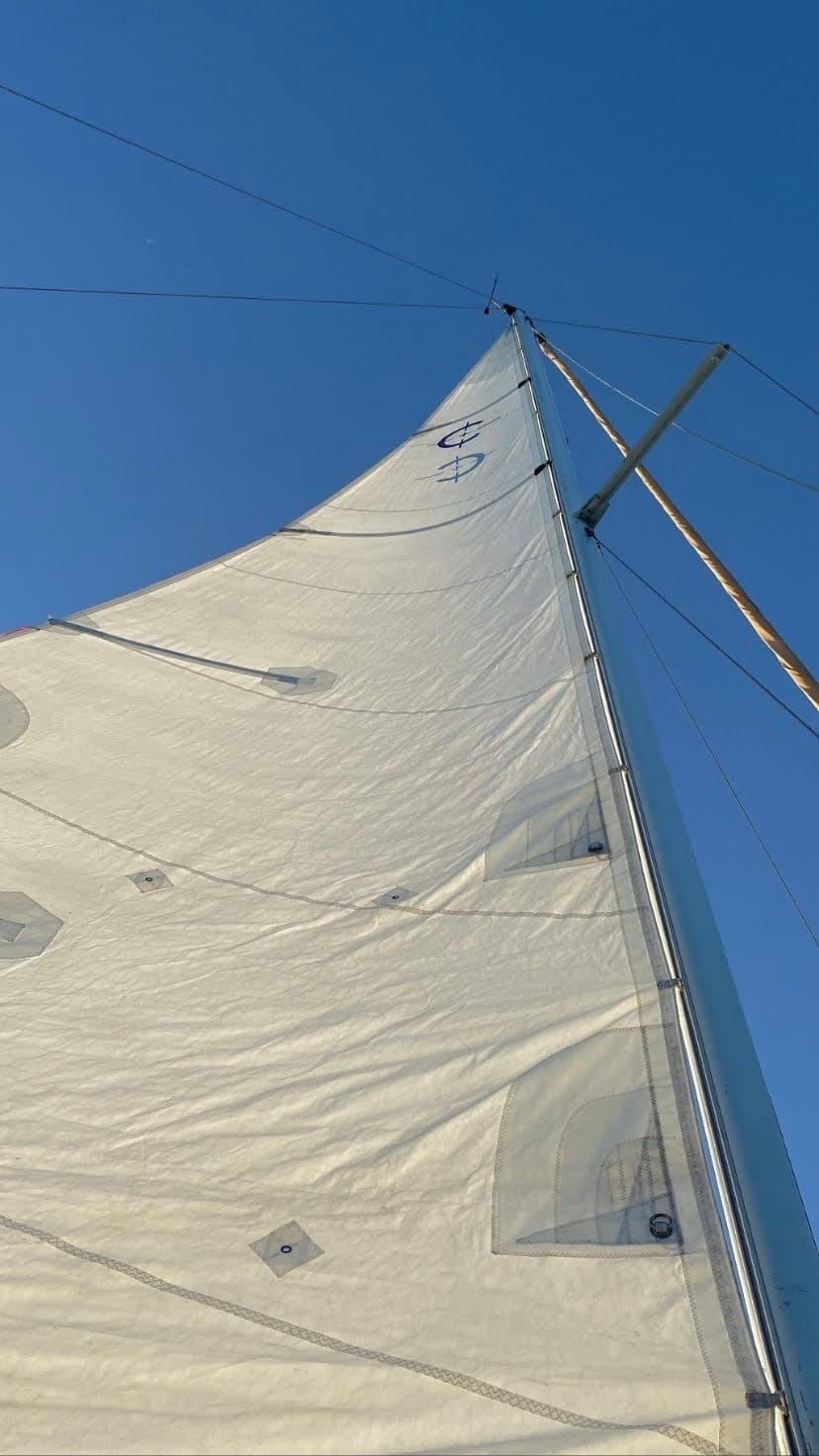 Set Sail Charter Co. fleet