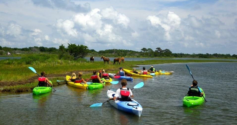 Group of kayakers paddling through Assateague coastal marsh