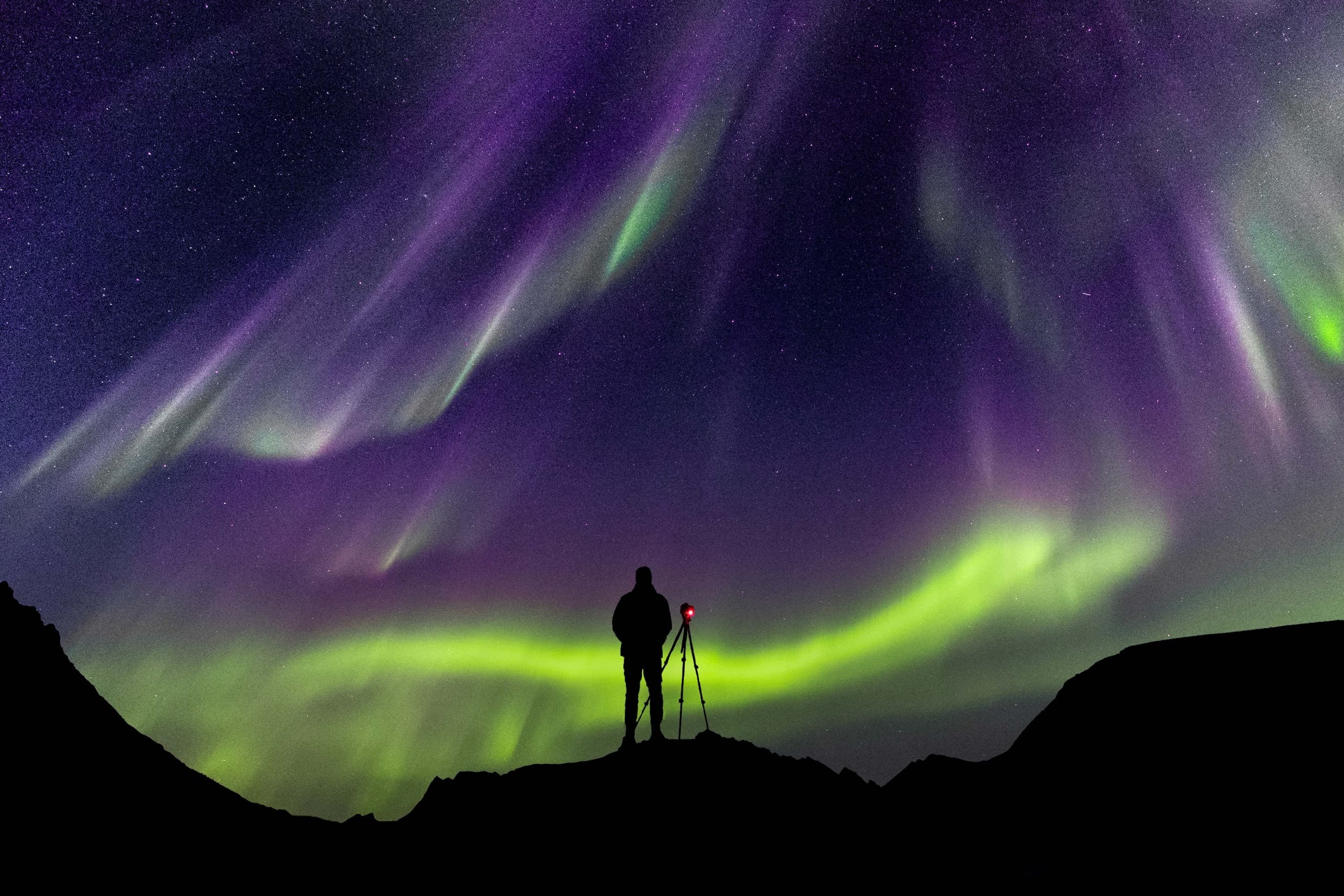 Northern Lights Hunting in Lofoten: Chase the Arctic Aurora in Remote Wilderness
