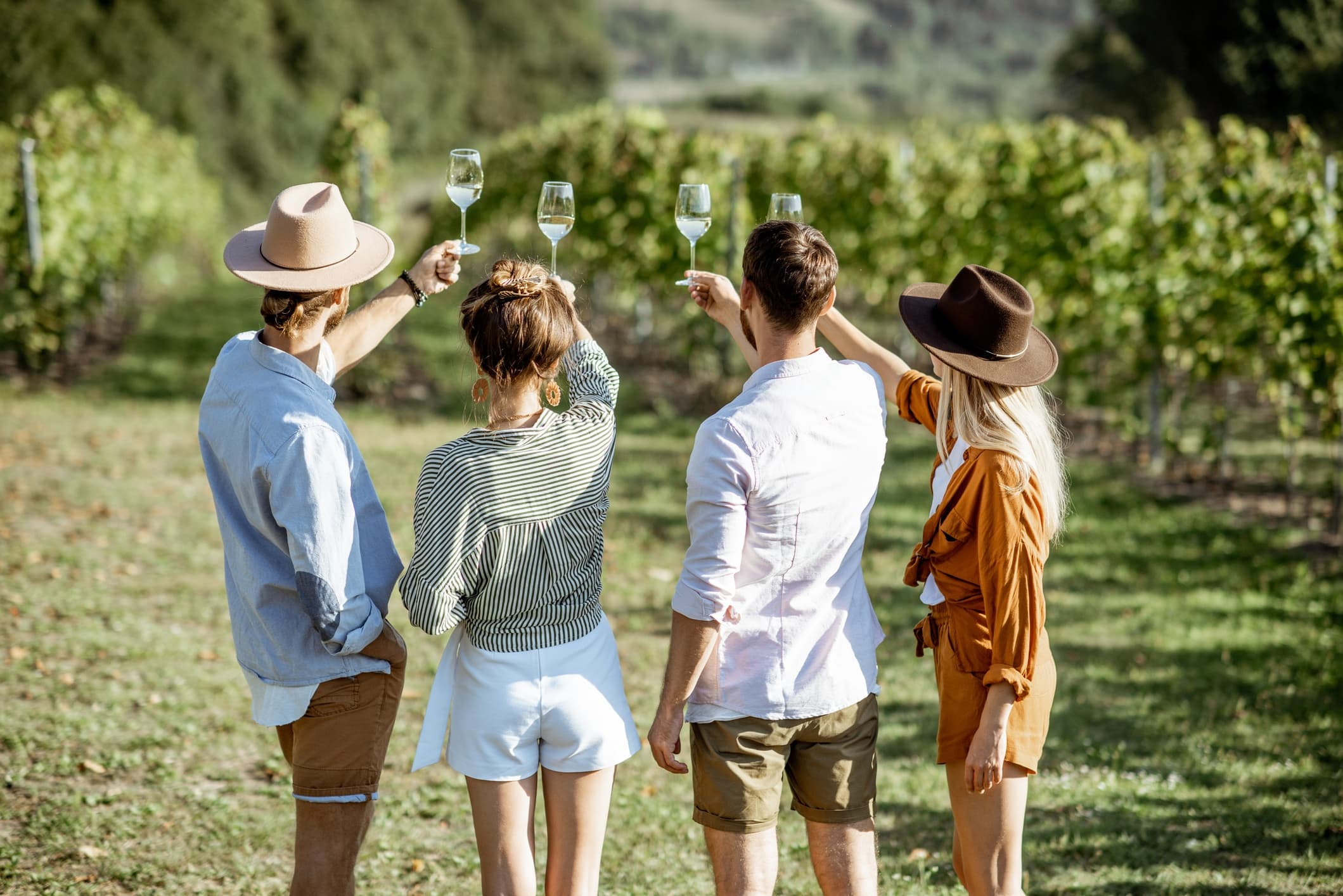 Friends toasting with wine overlooking scenic vineyard landscape