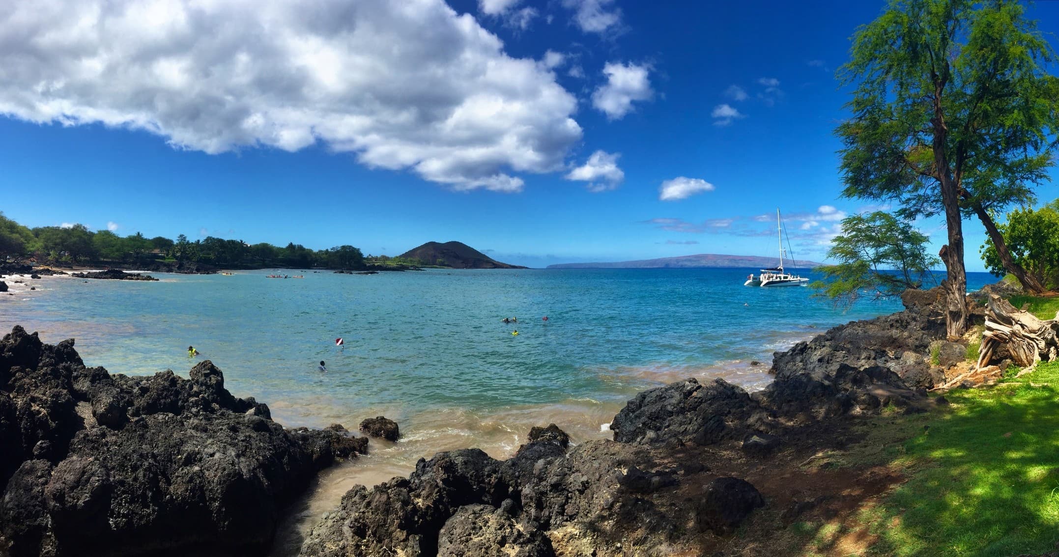Early Bird Dive Maui: Shore Diving Into Vibrant Coral Reefs and Marine Life