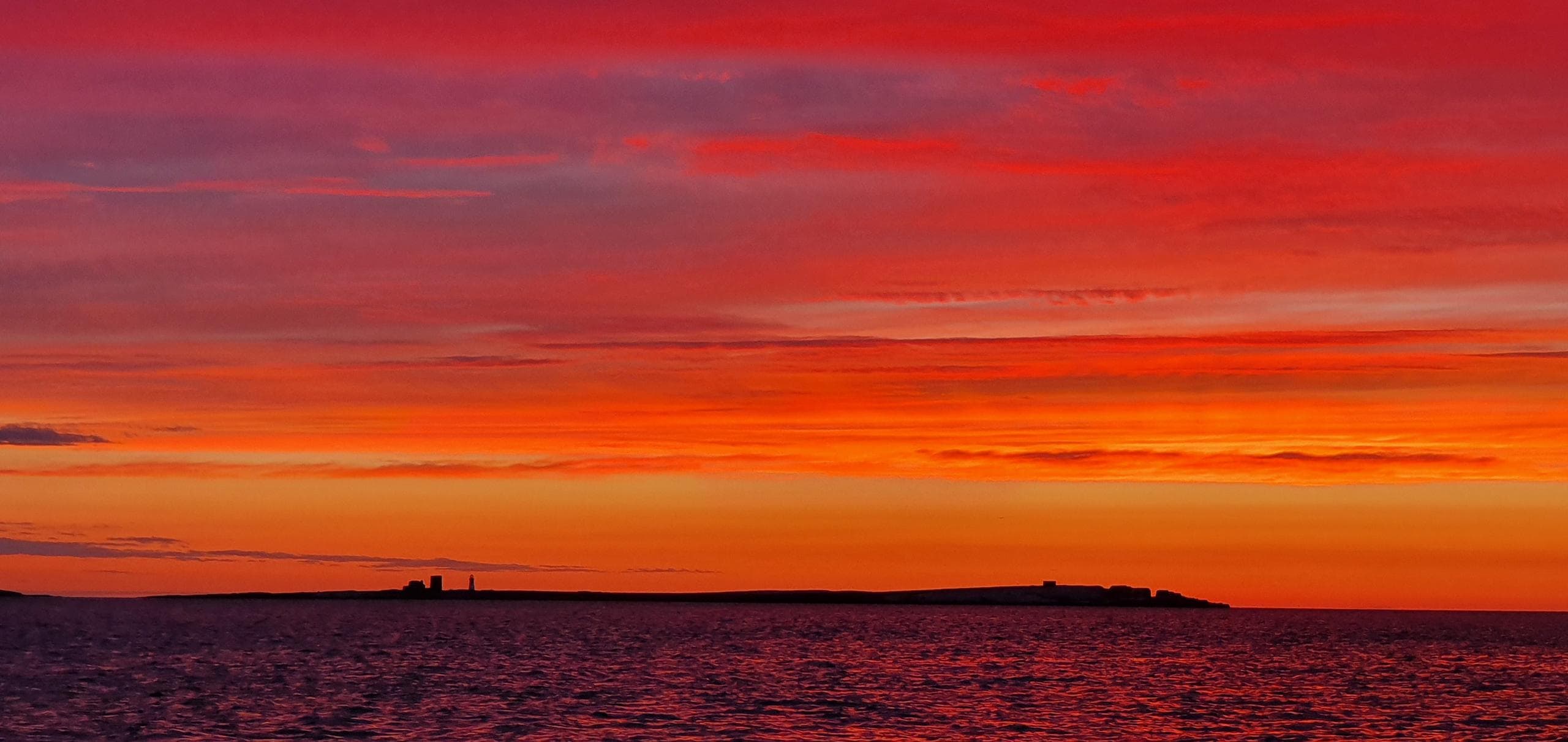 Water Activities: Serenity Farne Island Boat Tours