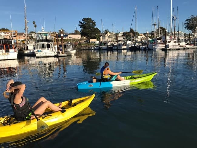 Sup Shack Santa Cruz fleet