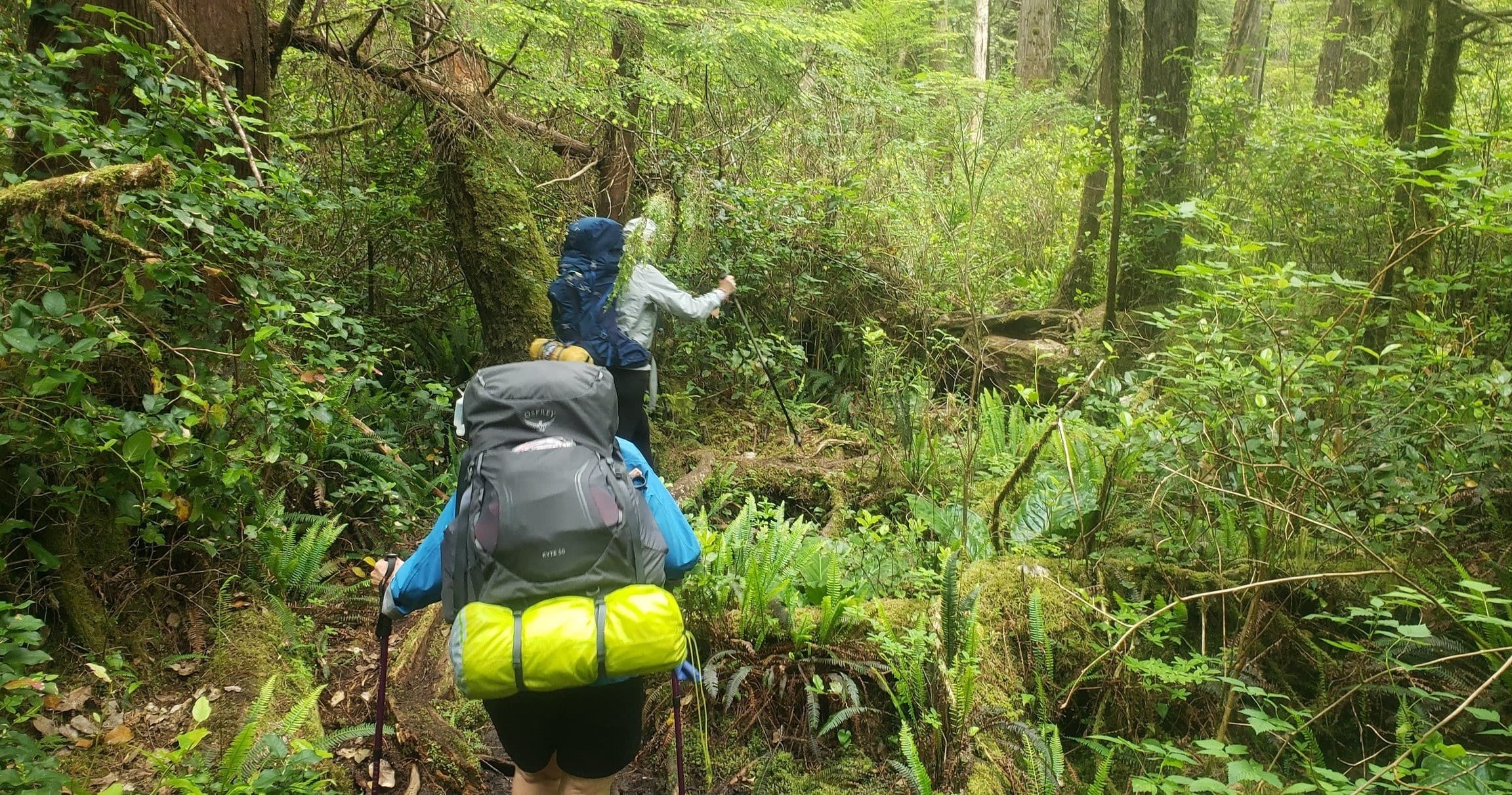 Hike the Historic Nootka Trail in Gold River, BC