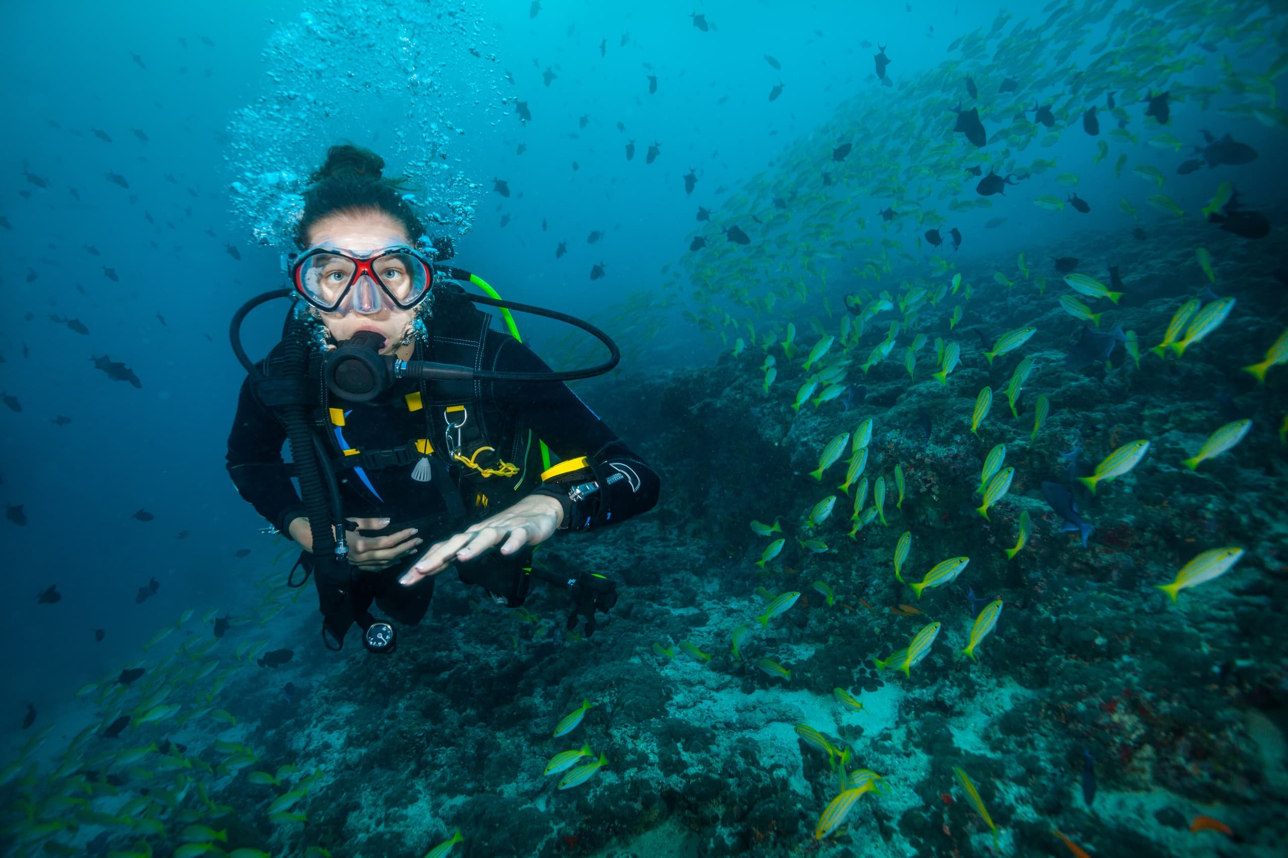 Solo scuba diver among tropical fish in crystal-clear ocean