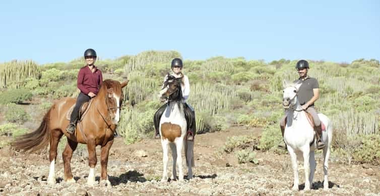 Three riders horseback in desert scrub landscape adventure