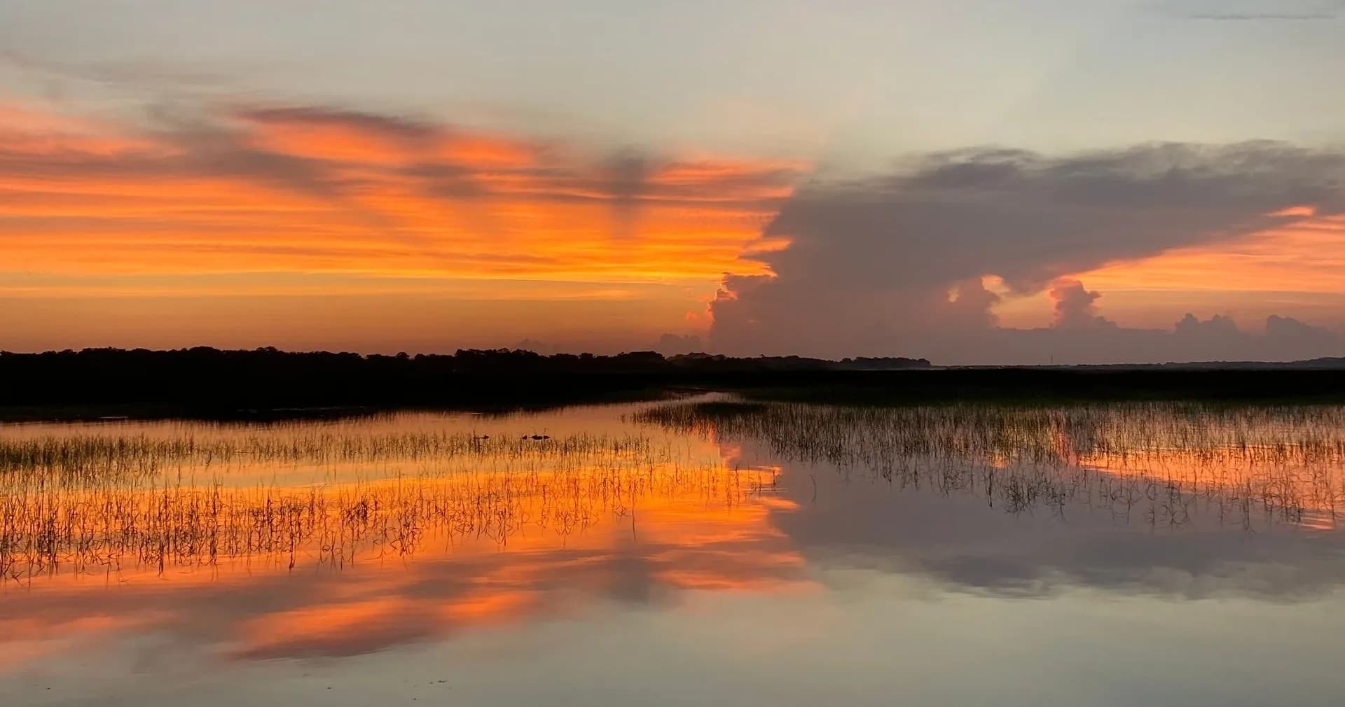 Airboat in New Smyrna Beach, Florida