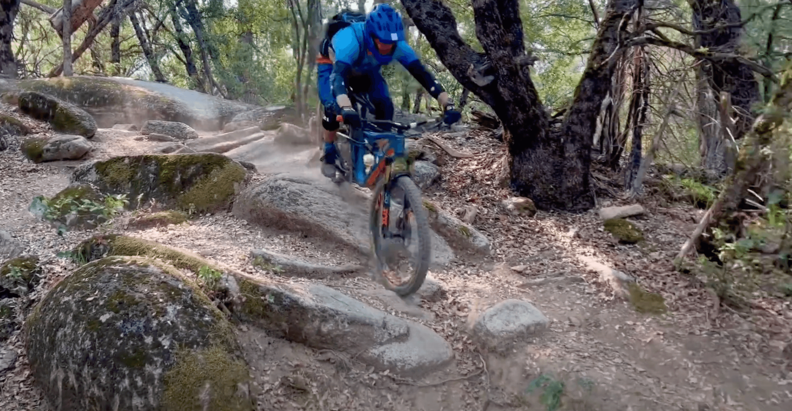 Mountain Biking Near Yosemite: Mary Jane & Willow Creek Guided Ride