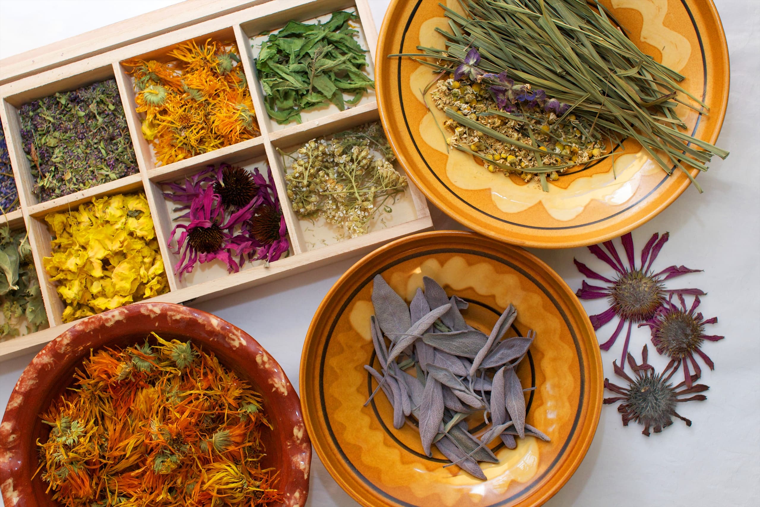Herbal Workshops & Tastings in Laško, Slovenia