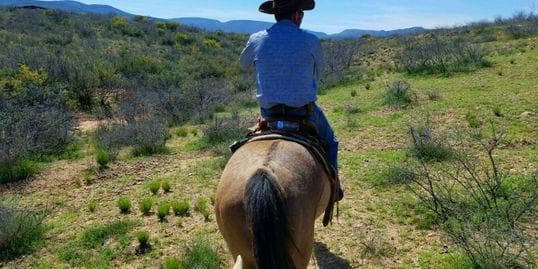 Rider on horse trekking across rolling chaparral hills, scenic ride