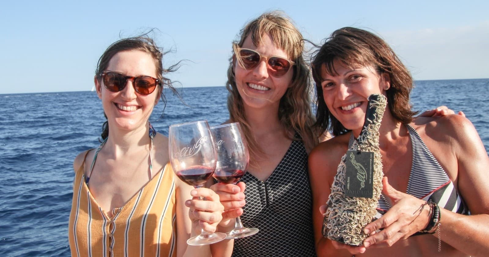 Wine Tasting & Coastal Views at Vins del Mar