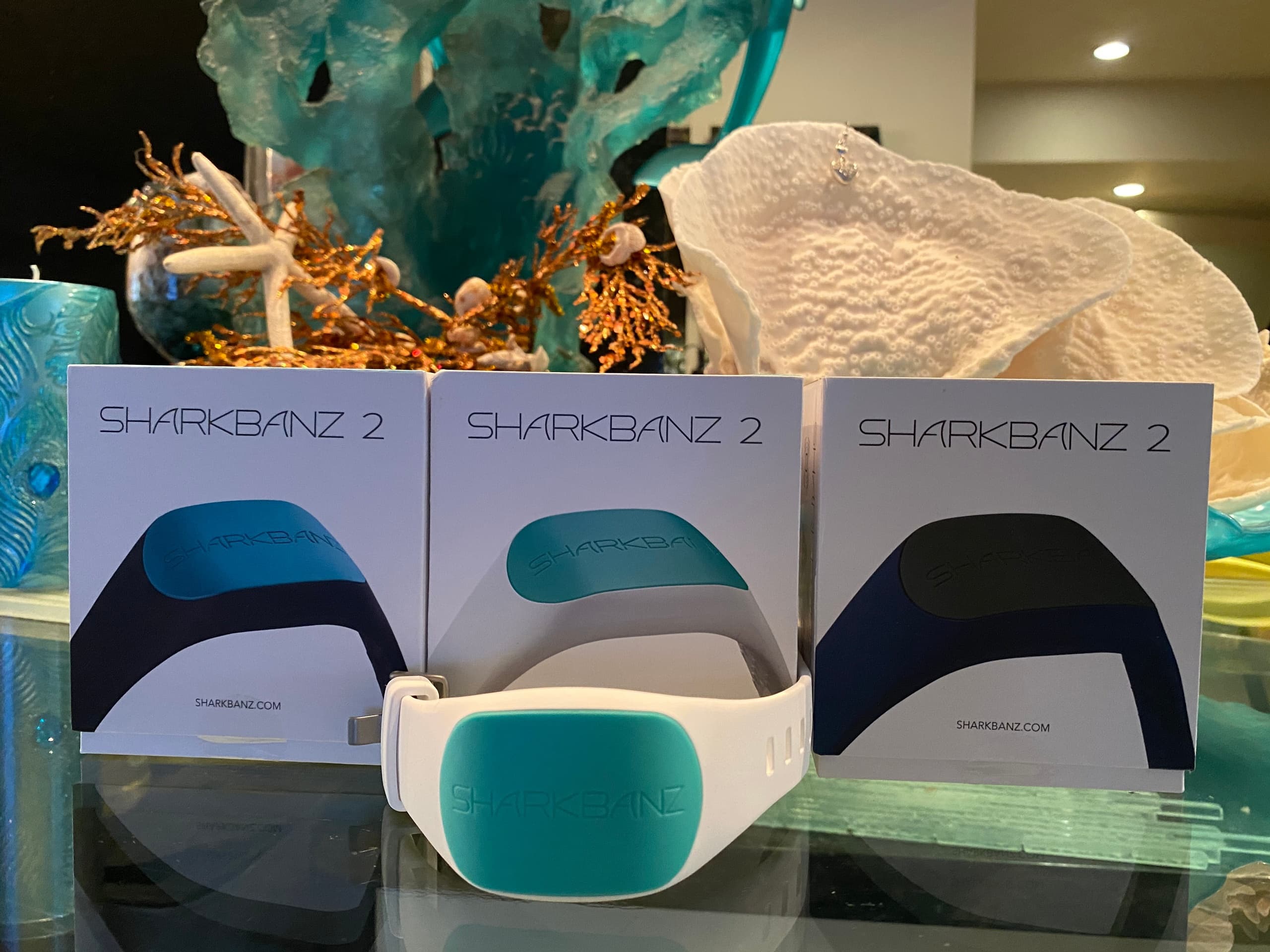 Shark Banz-2 Snorkel Rental in Hawaii Waters