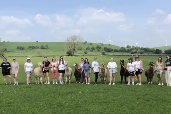 Alpaca Walking Adventures with Rustic Retreats in Peak District