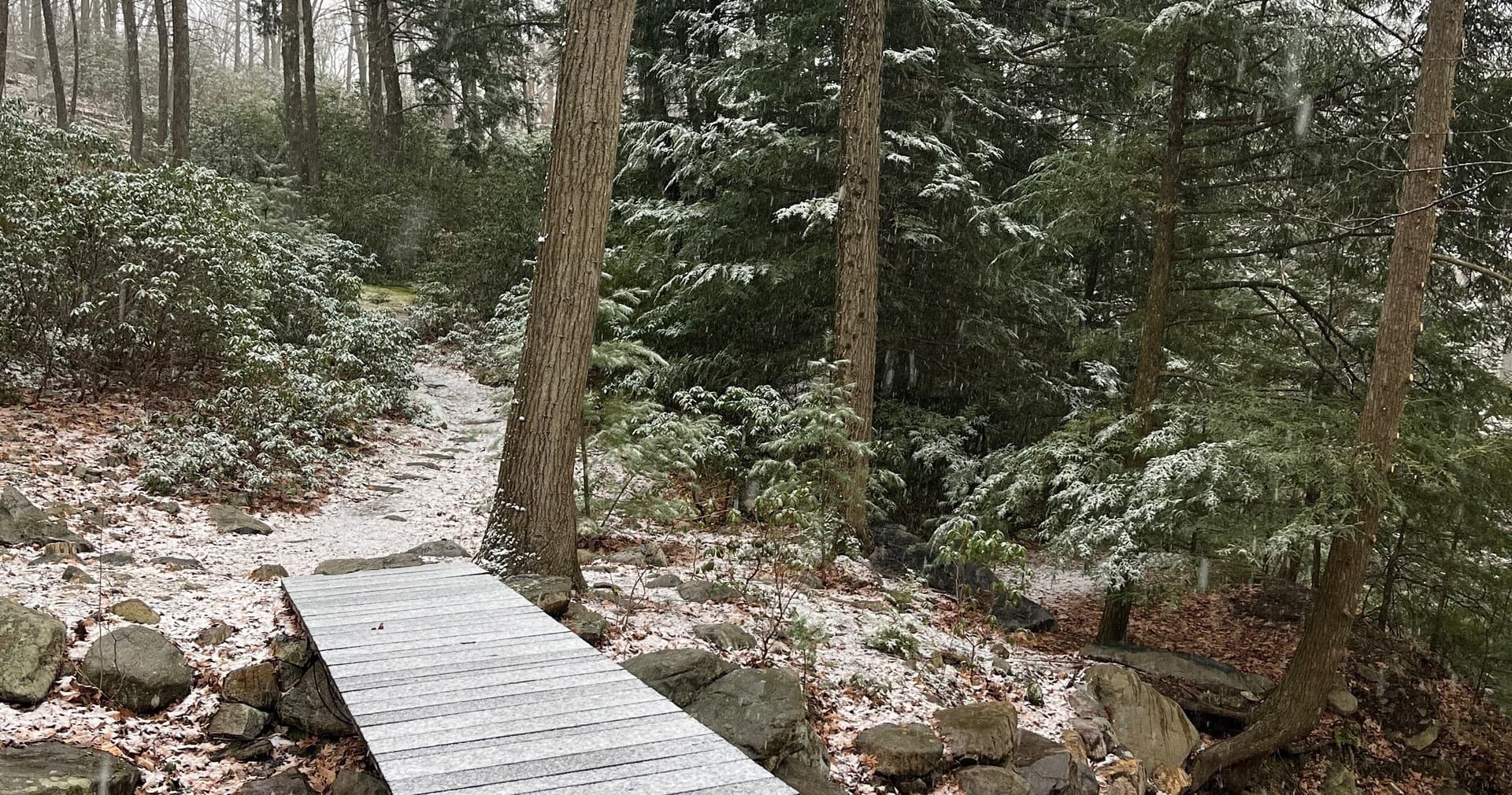 Outdoor Adventure at Manitoga in Focus with The Adventure Collective