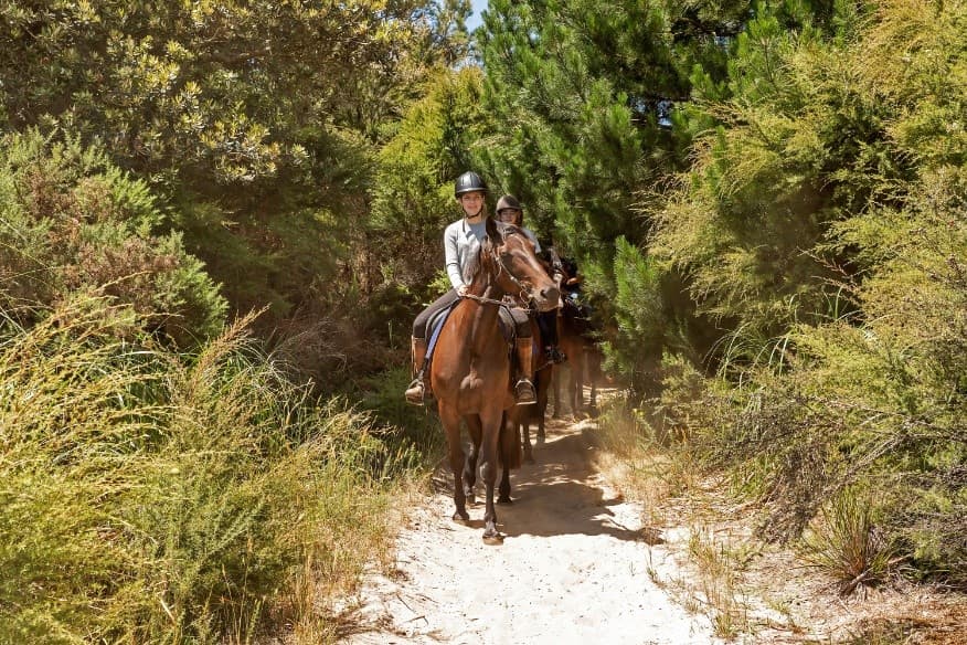 Bush-to-Beach Horse Trek in Waipu: 90-Min Coastal and Bush Ride