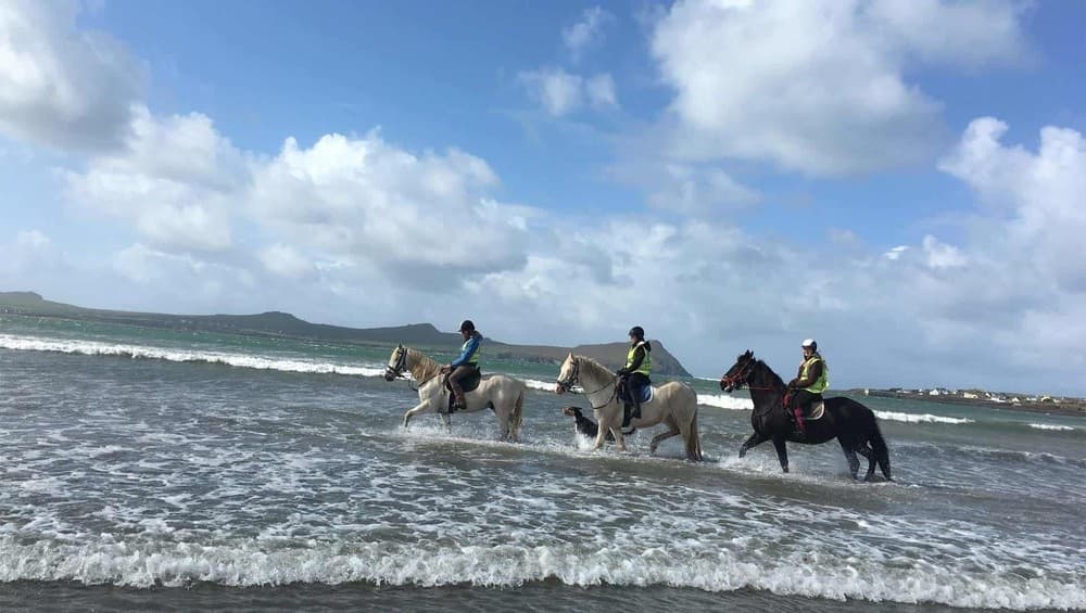 Dingle Horse Riding team
