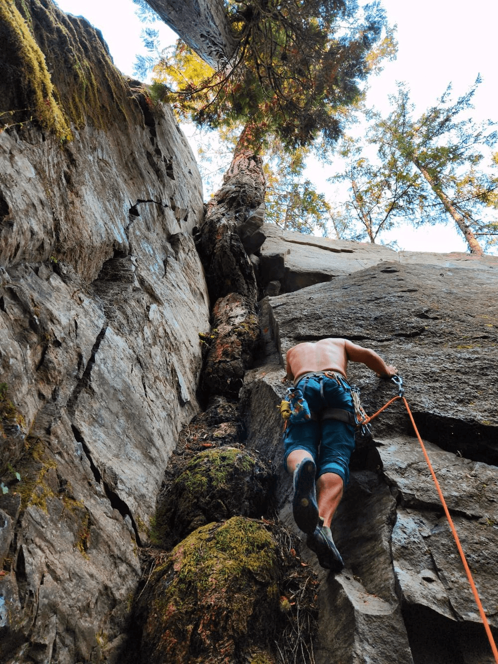 Sport Climbing Course for Beginners in Temiskaming Shores