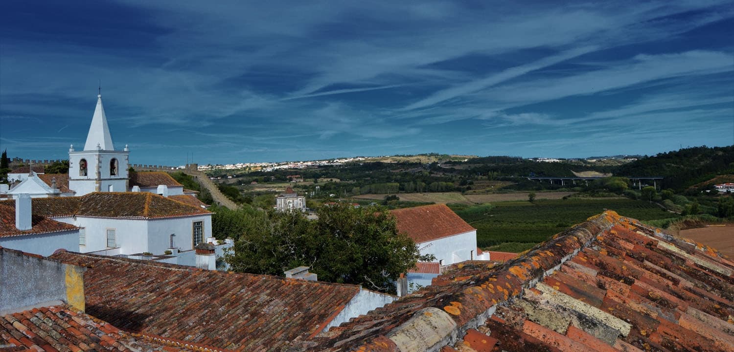 Panoramic village rooftops and distant church over rolling hills
