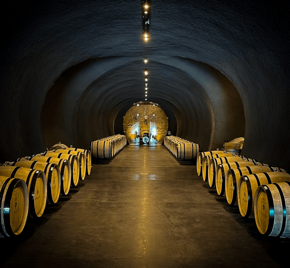 VIP 4-Day Wine Tour with Phenomenal Limos & Wine Tours in Napa