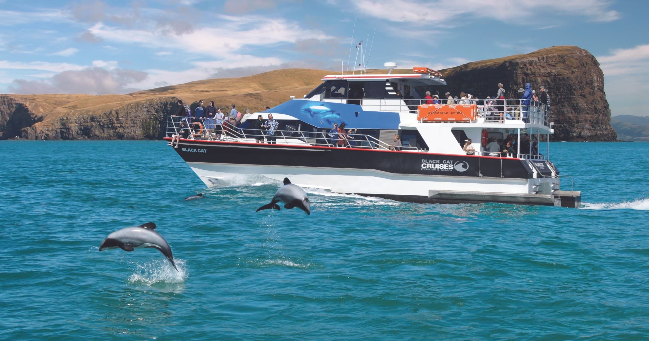 Akaroa Wildlife Pass fleet