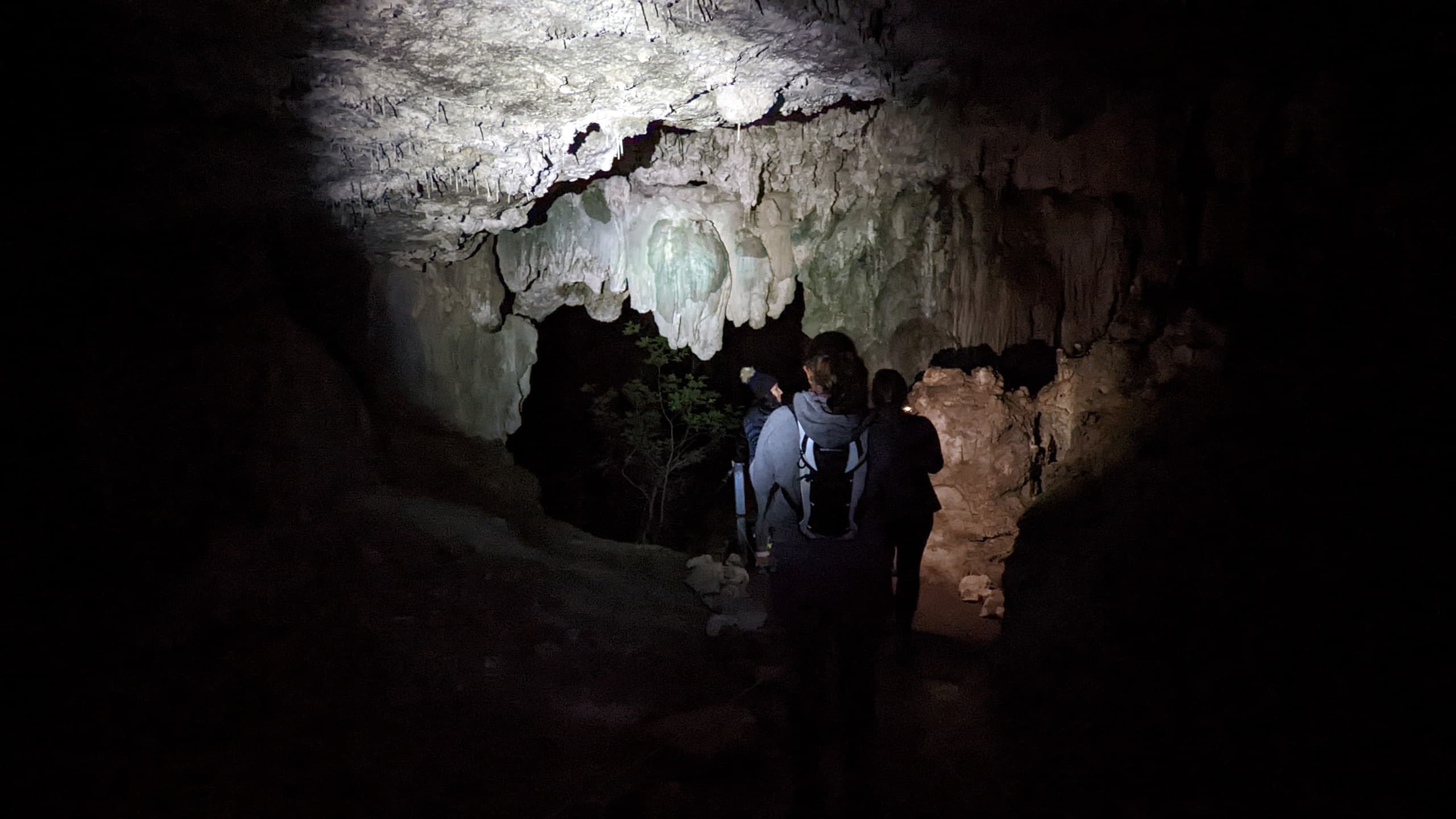 Night Hike at Westcave Outdoor Discovery Center: An Evening Adventure in Texas