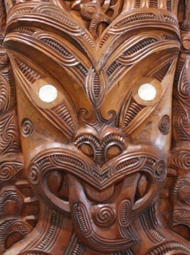 Total Kiwi Experience: Night Kiwi-Spotting, Whangarei Falls & Waitangi Lookout photo 3