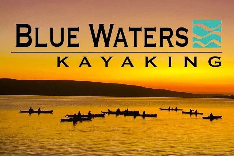 Paddling Tomales Bay: Blue Waters Kayaking from Point Reyes Station