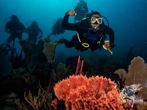 Private 3 Tank Dive Charter with Punta Cana Scuba Diving