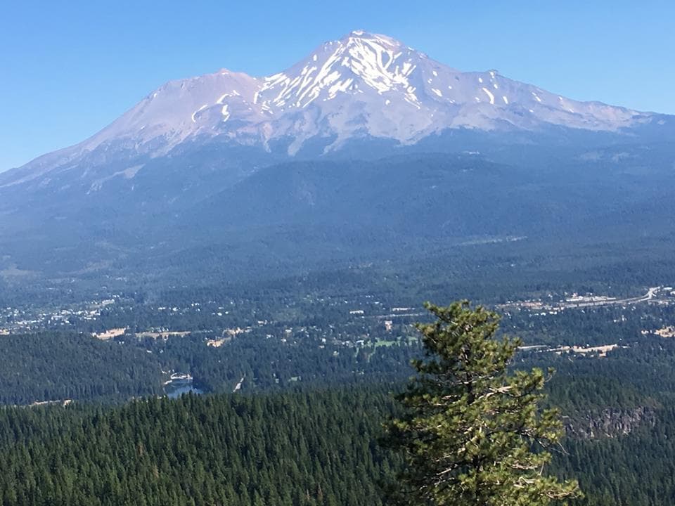 Snow-capped mountain vista above forested valley, scenic viewpoint