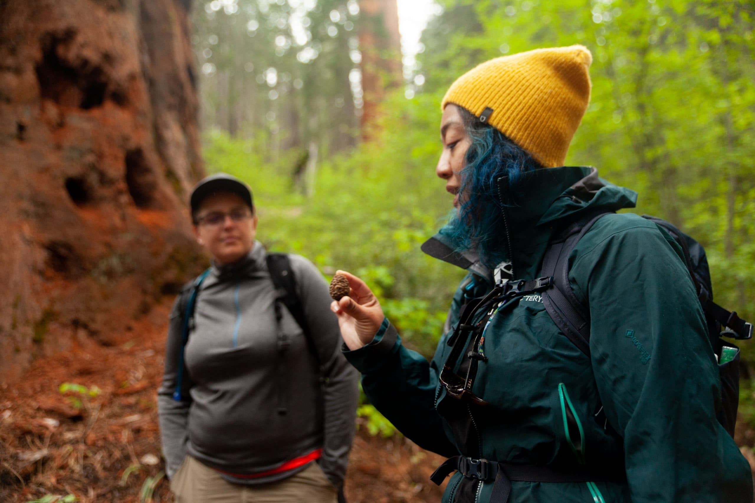 Yosemite Valley Day Trip & Hike with Good Trip Adventures
